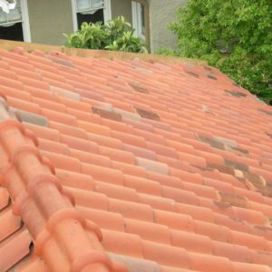 Dr. Mizgala Tile Roof 2 (Copy)